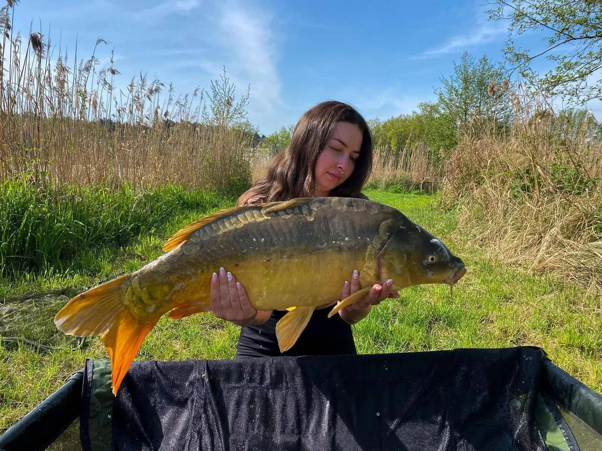 Strefa Castle dla gości noclegowych